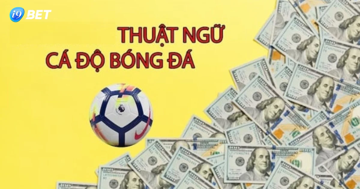 Thuật Ngữ Cá Độ Bóng Đá: Những Thuật Ngữ Và Cách Chơi 3 Cách Thực Hiện Thuật Ngữ Cá Độ Bóng Đá